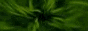 Psytrack Forums